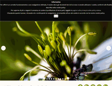 Tablet Screenshot of codiferro.it